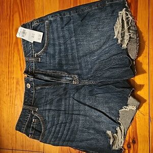 NWT Hollister 90s Shorts